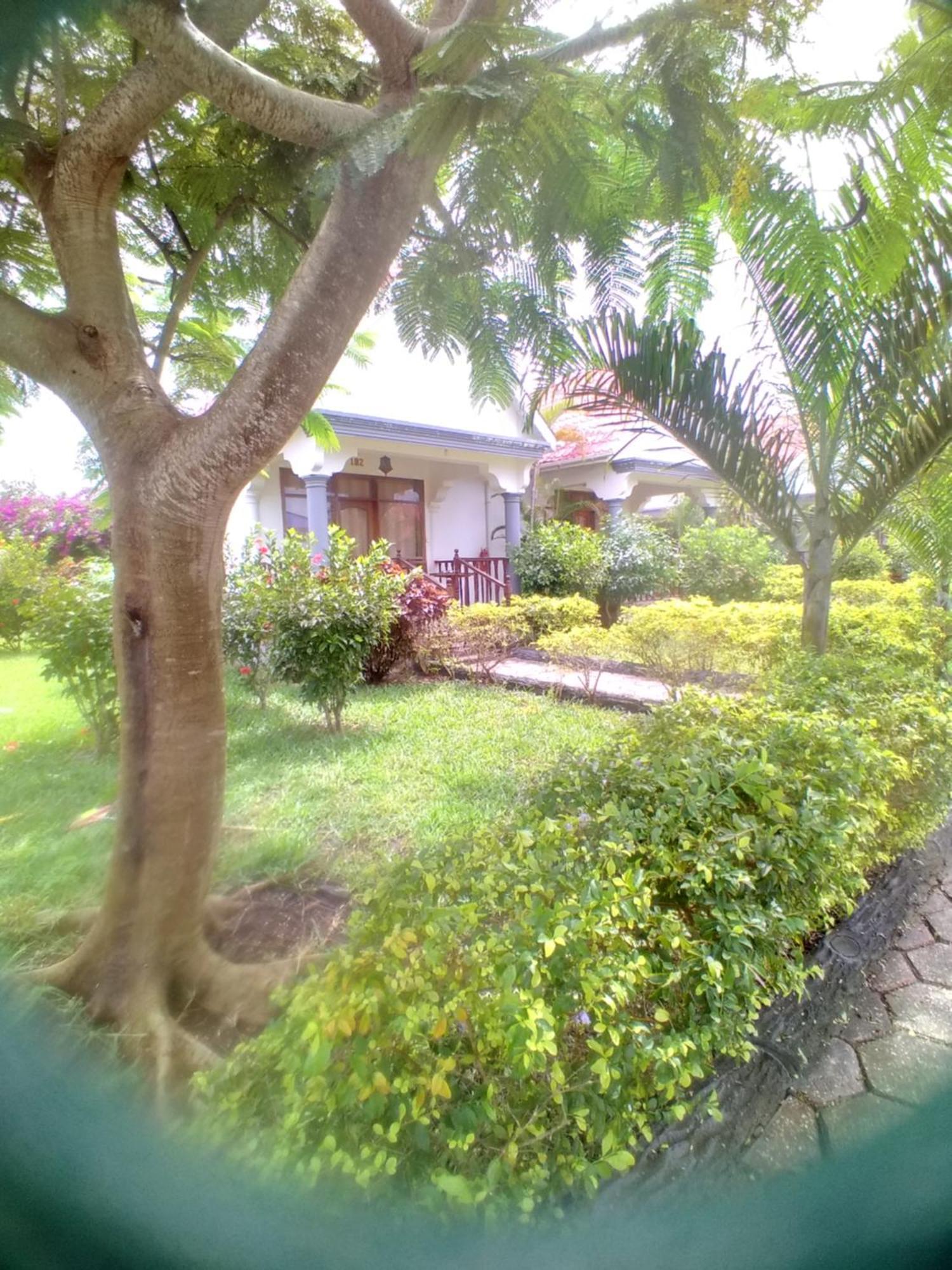Relax Hotel Taj Nungwi Exterior photo